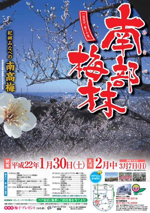 梅林　紀州和歌山の梅林情報